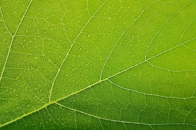 Comment améliorer la durabilité de vos éco toners ?