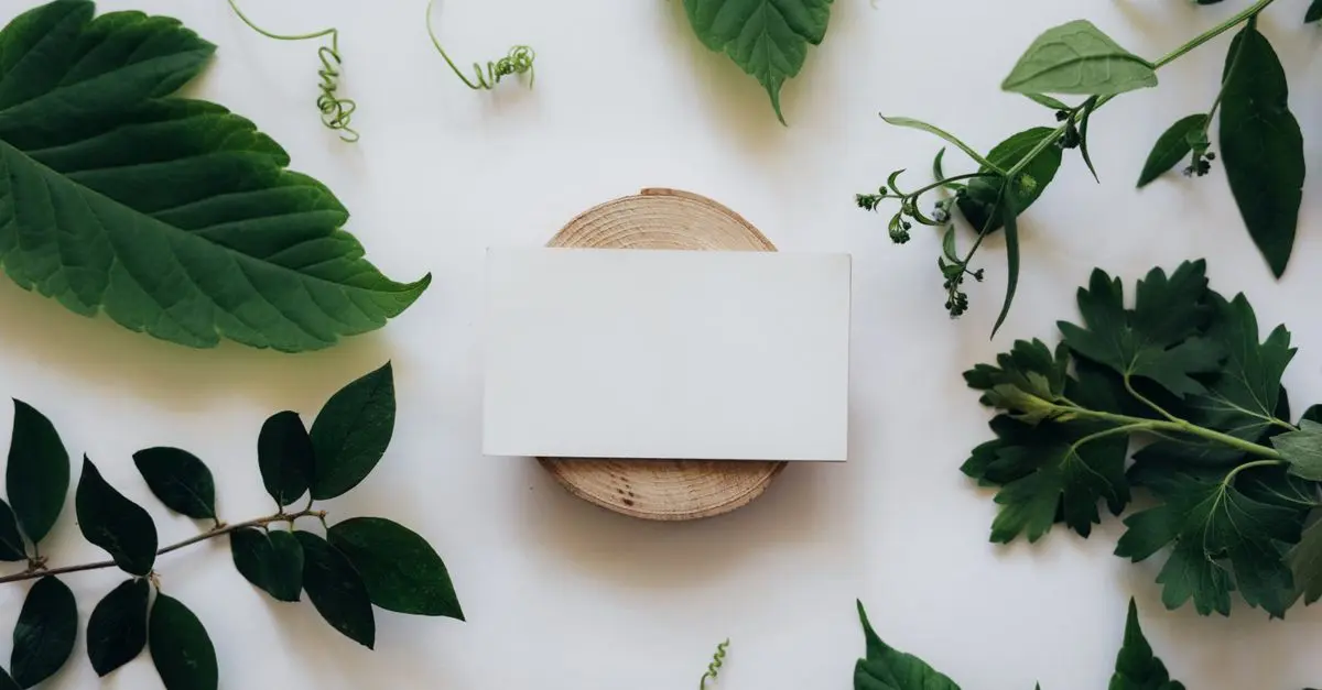 Les éco toners : Une solution écologique pour vos impressions