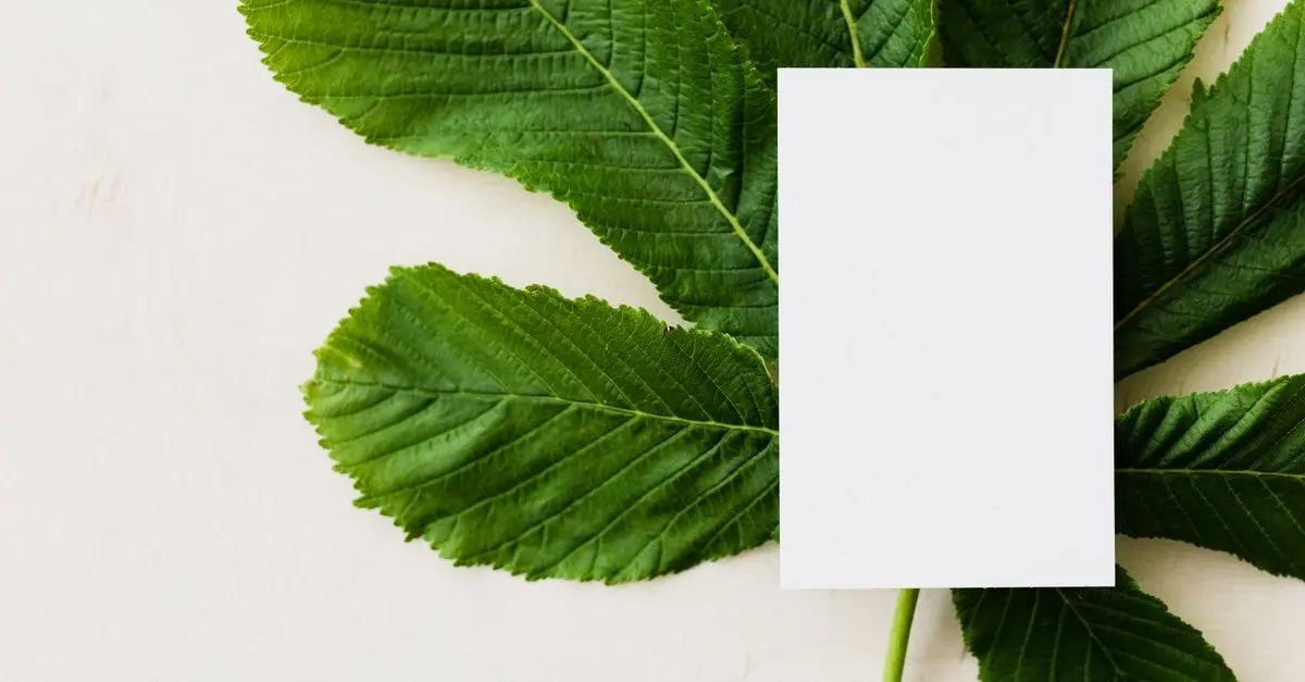 Personnalisation et éco toners : Une tendance à suivre