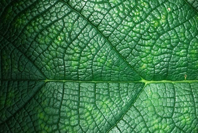 Comment choisir l'éco toner idéal pour votre imprimante