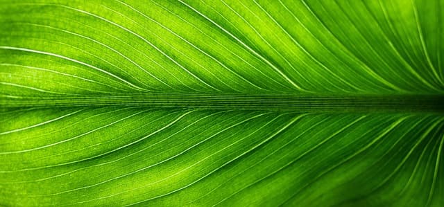 Comment les éco toners aident à réduire votre empreinte écologique