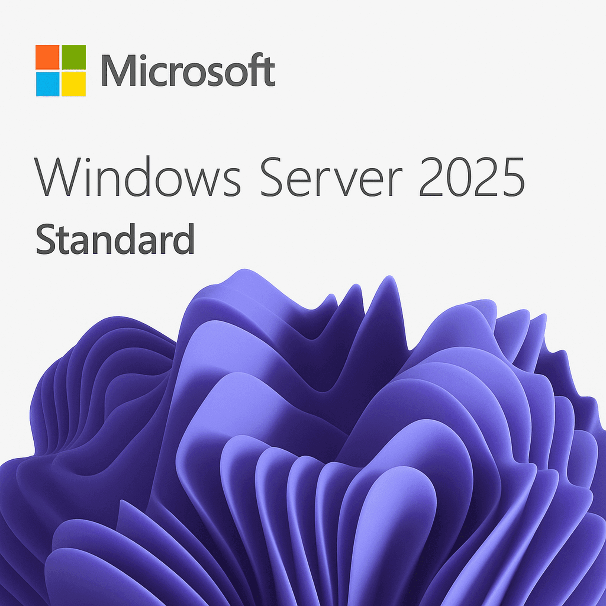 Microsoft Windows Server 2025 Standard | 1 Serveur | 2 VMs | 16 cœurs | Version définitive | Téléchargement